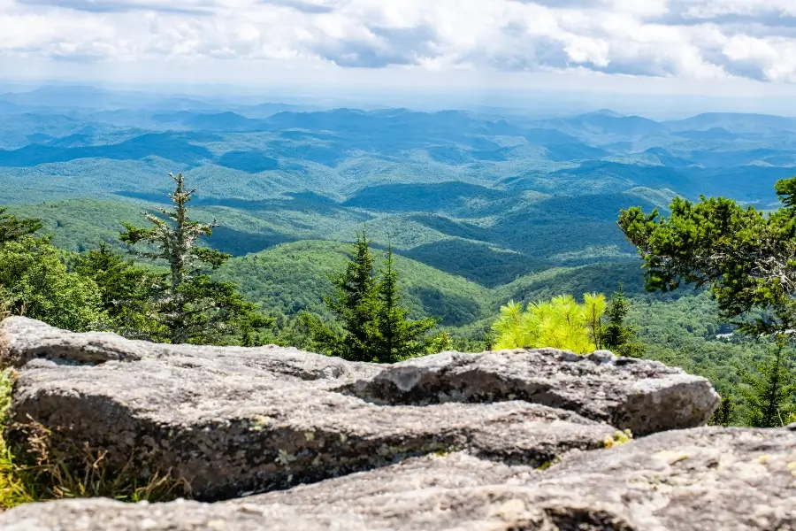 Weaverville Realty in Weaverville, NC (5)