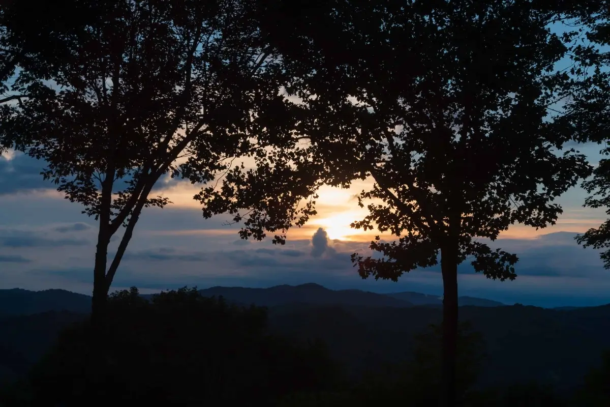 Weaverville Realty in Weaverville, NC (6)