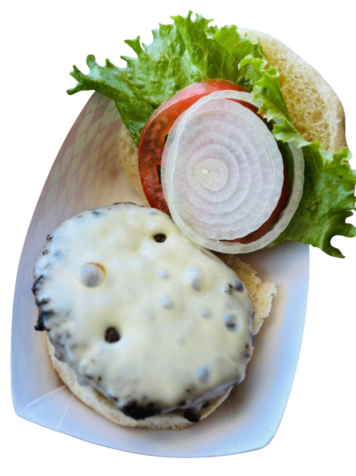 Shake ‘Em Up Mobile Kitchen & Eatery in Beech Creek, PA