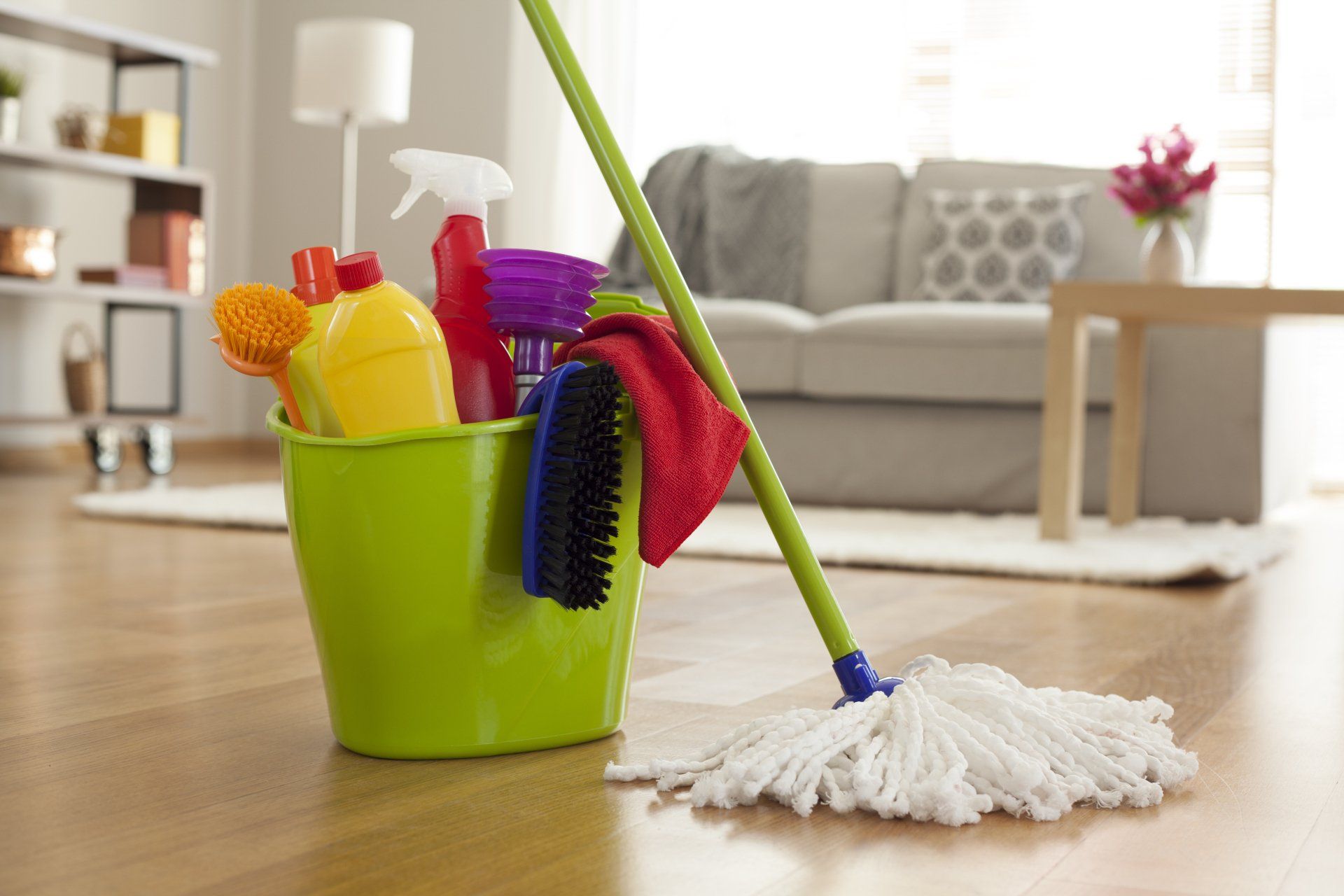 E-Z Living Cleaning in Sacramento, CA (3)