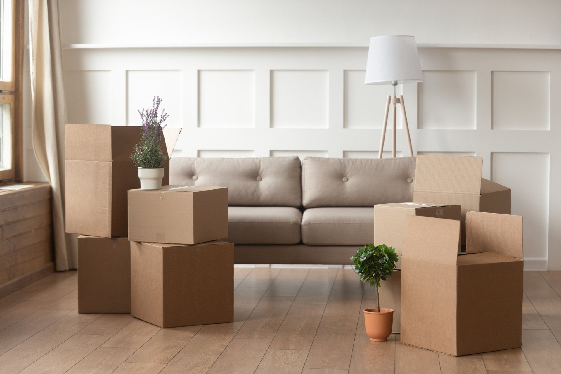 E-Z Living Cleaning in Sacramento, CA (4)