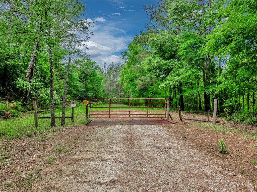 Olivia Kiritsy, REALTOR in Nacogdoches, TX (2)