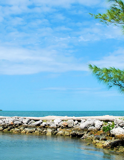 Team Terry Story | Real Estate Advisors – Boca Raton in Boca Raton, FL (6)
