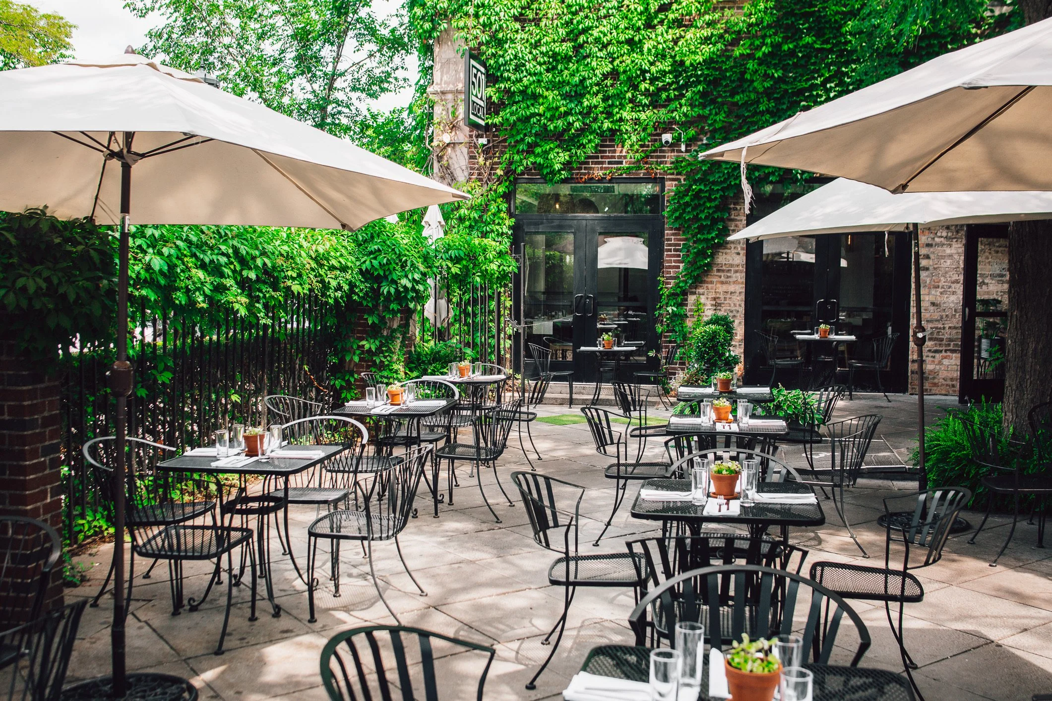 501 Local in Winnetka, IL (6)