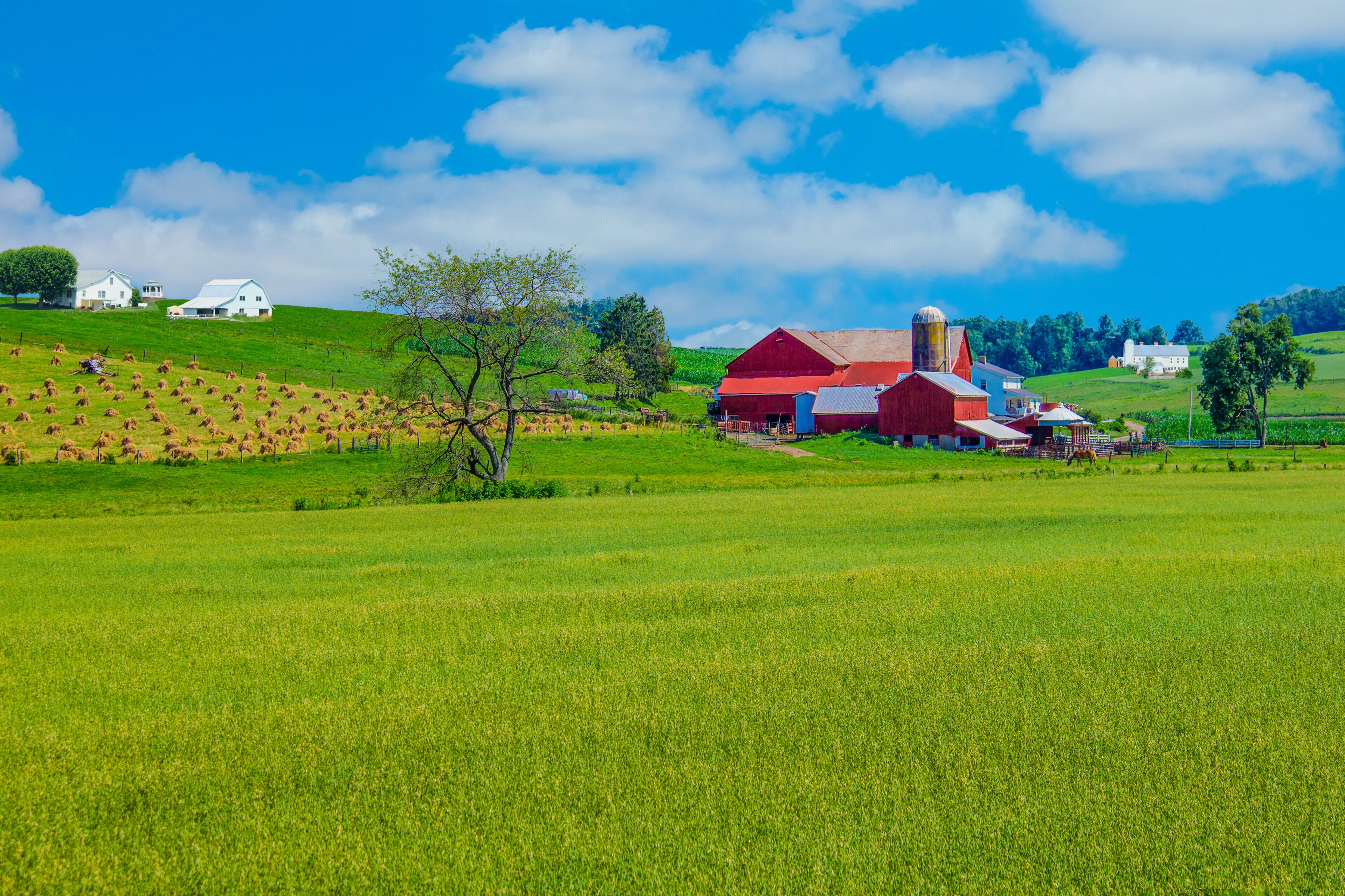 Diller & Rice LLC in Van Wert, OH