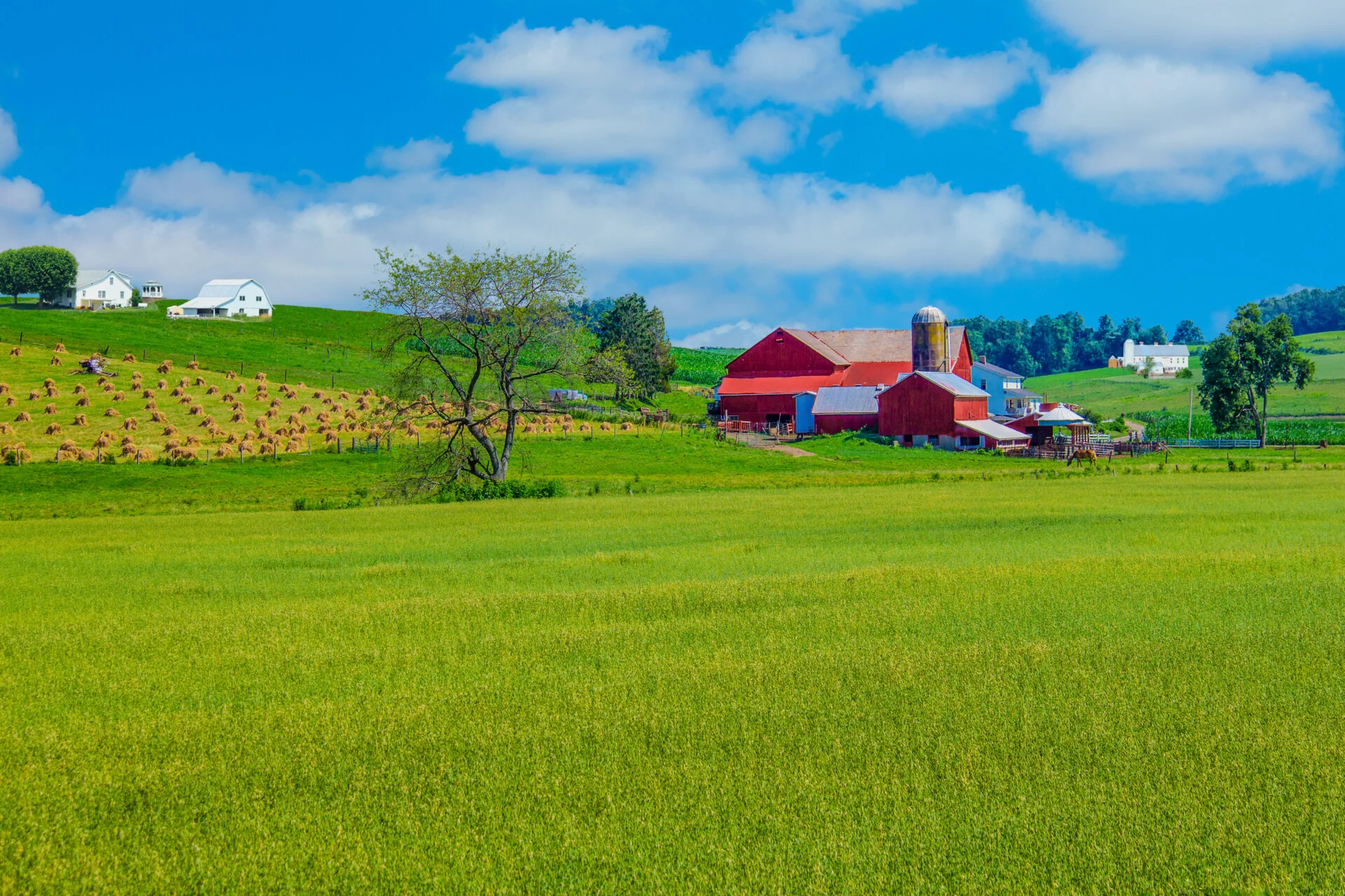 Diller & Rice LLC in Van Wert, OH (3)