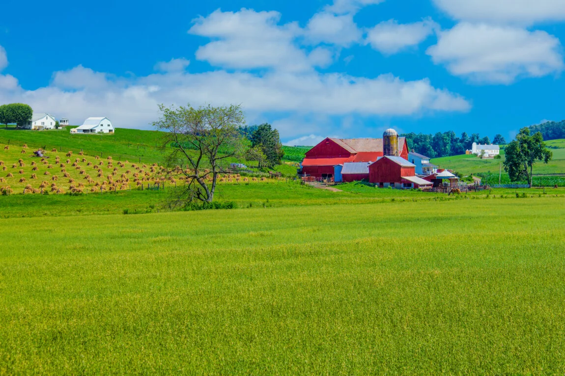 Diller & Rice LLC in Van Wert, OH (6)