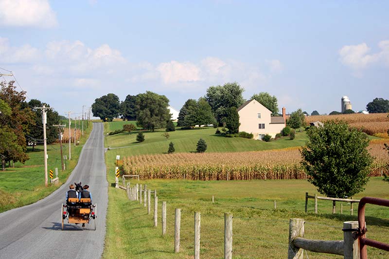 Yoder's Farm Market in Heath, OH (3)