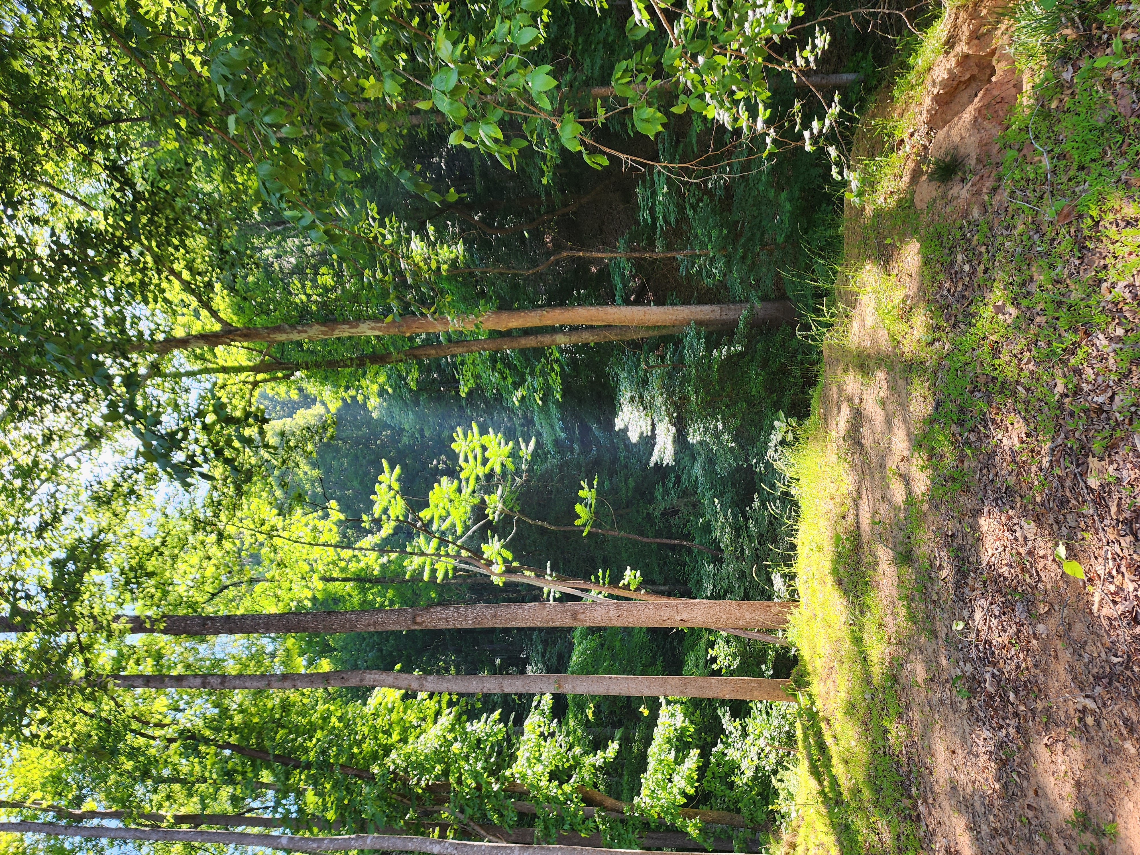 Big6 Properties in Taylorsville, NC