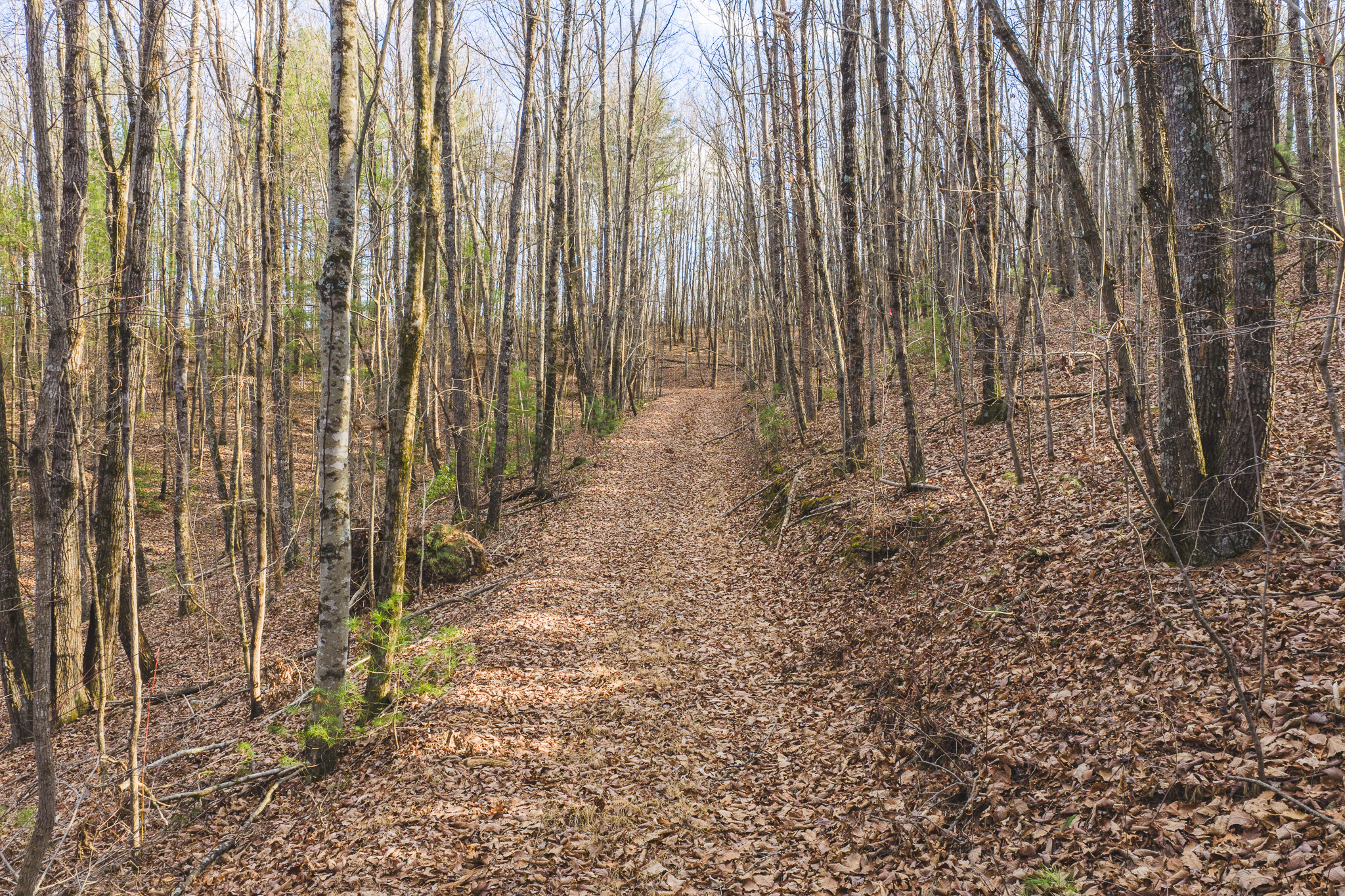 Big6 Properties in Taylorsville, NC (6)