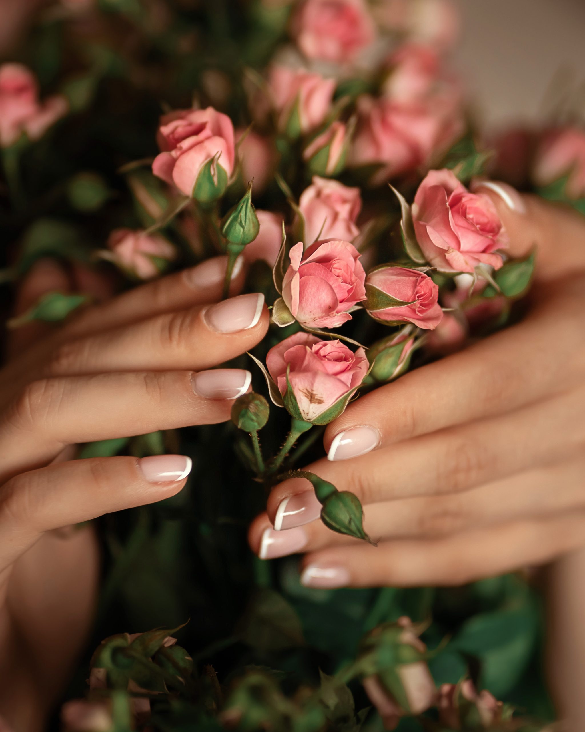 Honey Belle Nail Lounge in Rohnert Park, CA (4)