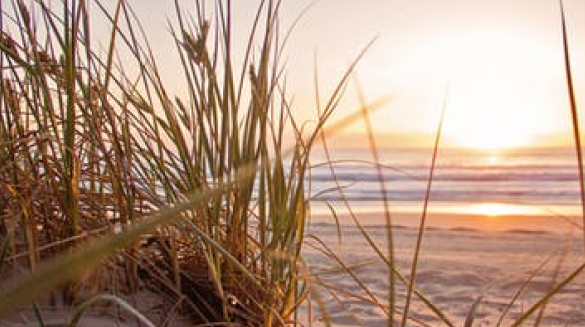 J. Rosen Law, LLC in Folly Beach, SC (3)