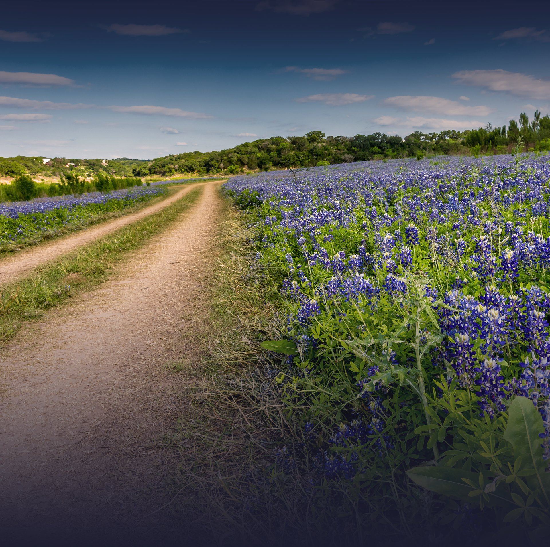 The Law Office of Milena Christopher in Dripping Springs, TX