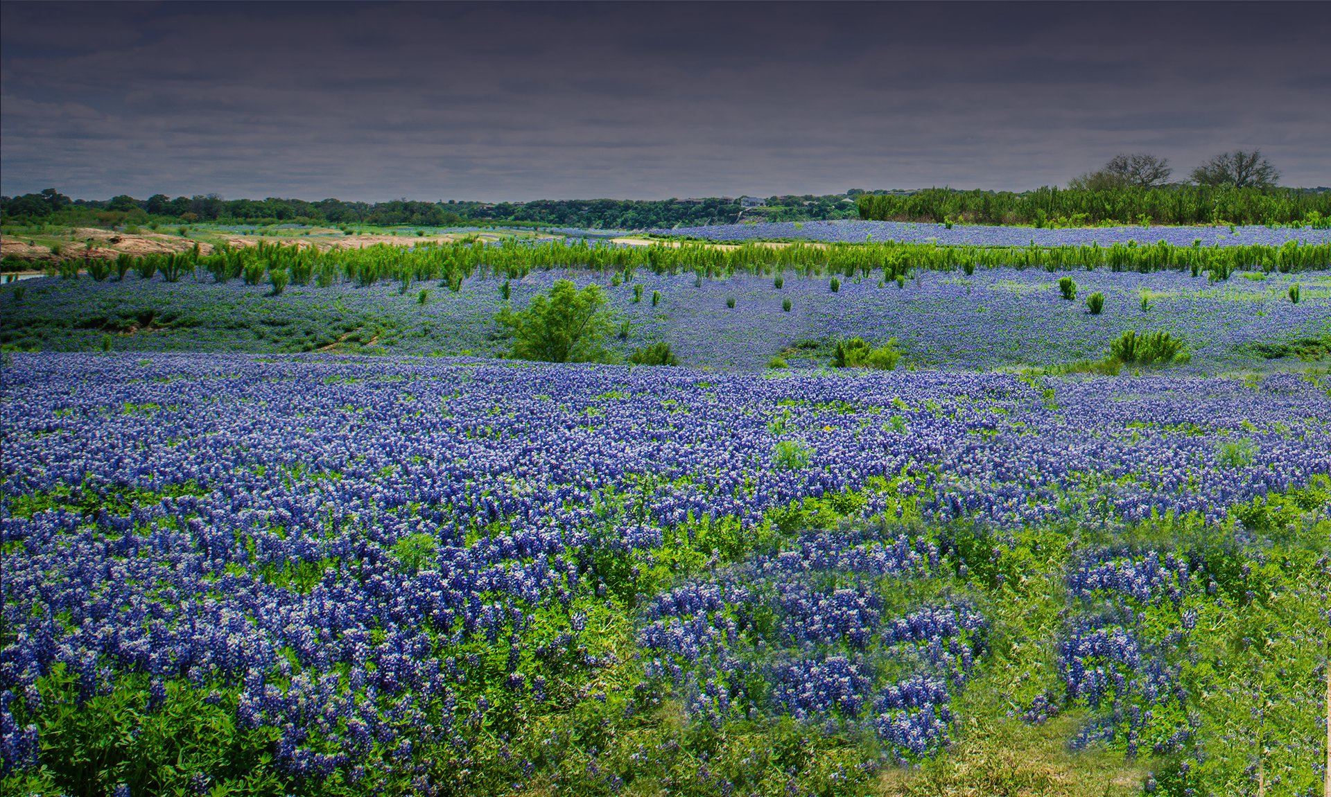 The Law Office of Milena Christopher in Dripping Springs, TX (2)