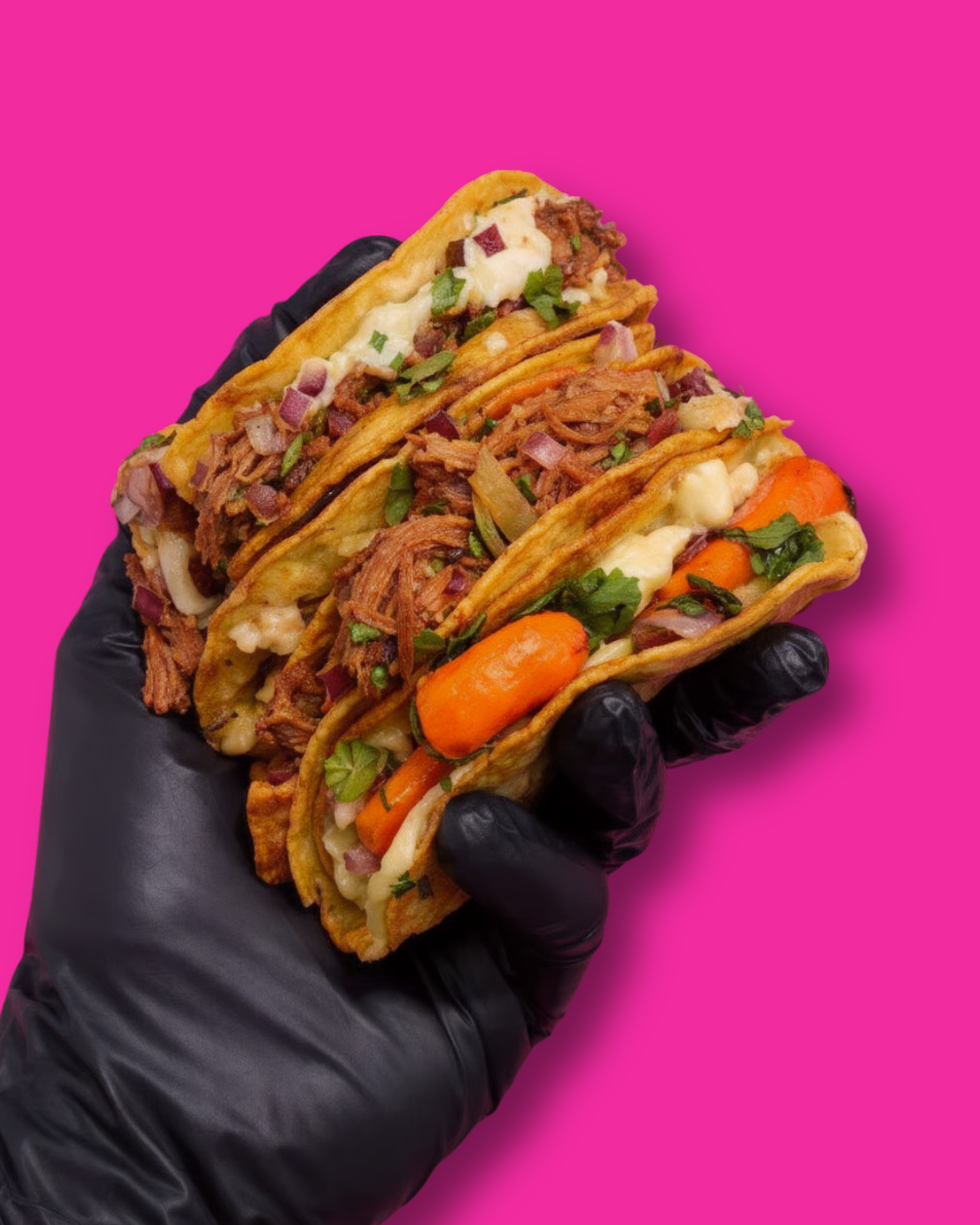 The Birria Queen (Food Truck) in Houston, TX