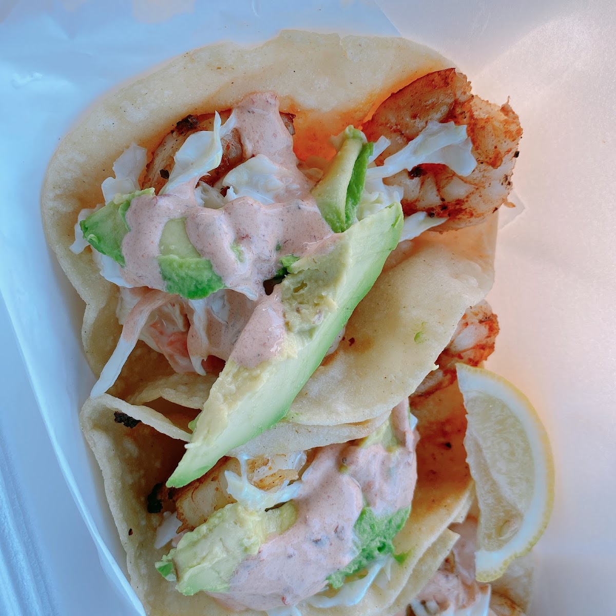Seahorse Grill in Galveston, TX (6)