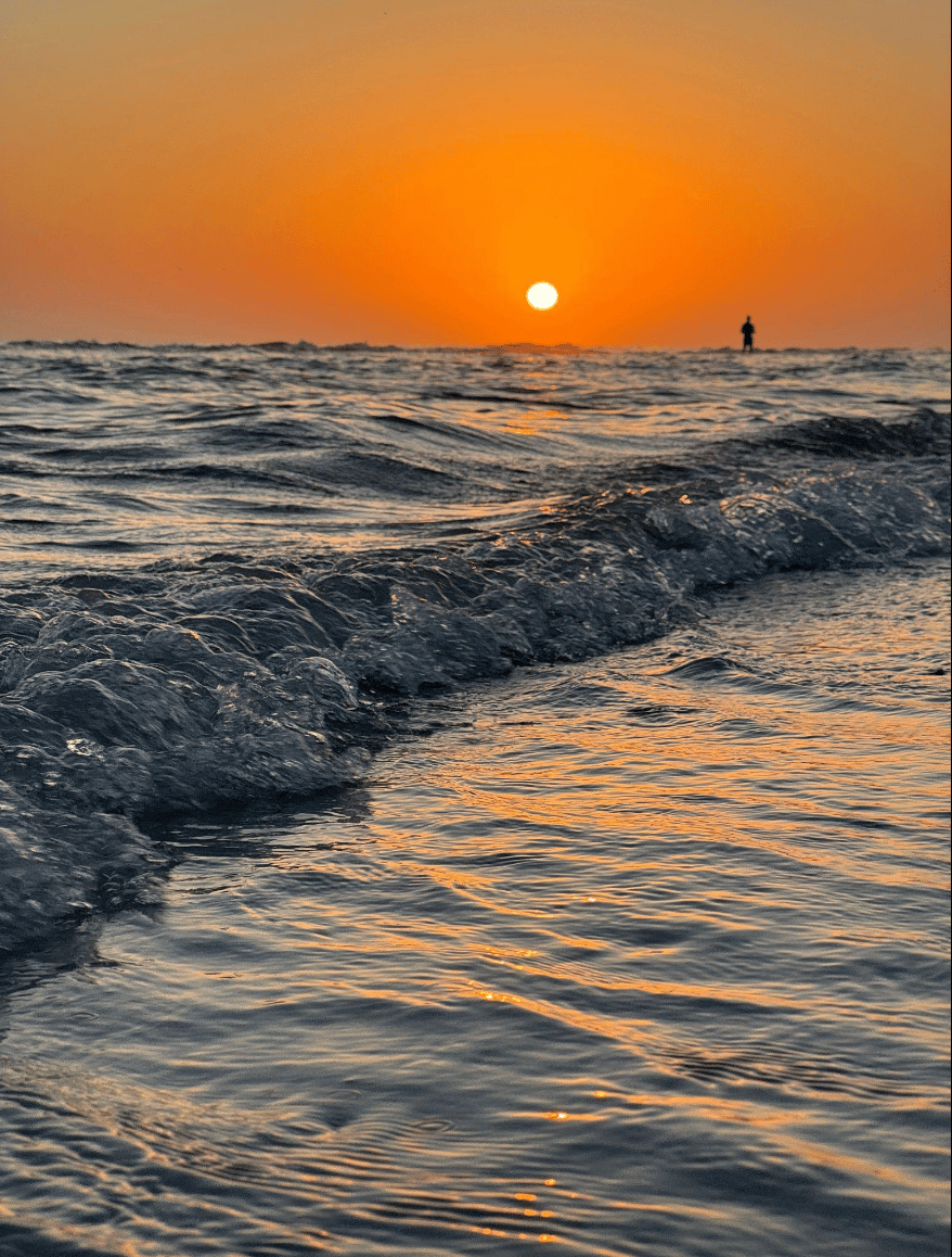 Beth Helvey Sarasota FL Real Estate in Sarasota, FL (4)