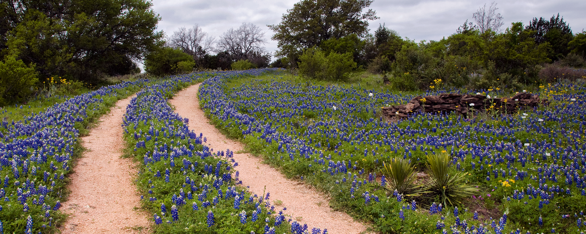 Stockton Real Estate in Jarrell, TX