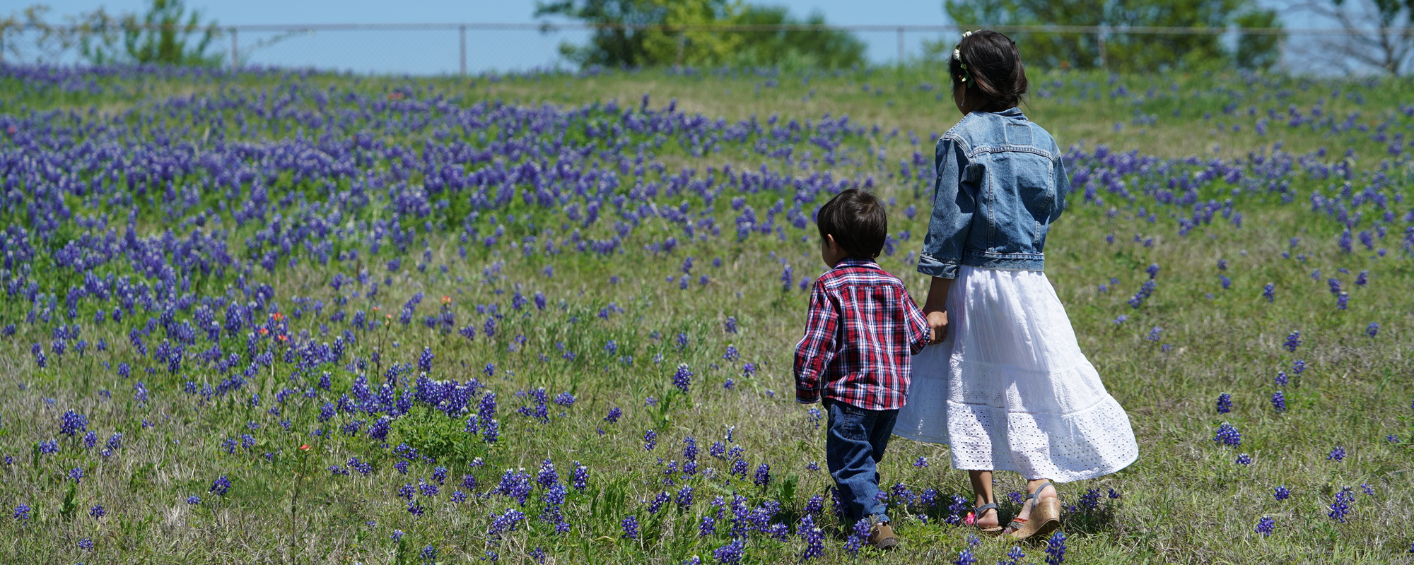 Stockton Real Estate in Jarrell, TX (2)