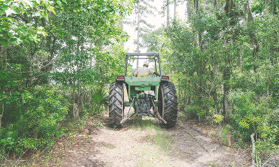 Blue Pearl Farm in McClellanville, SC