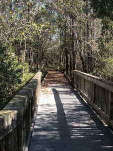 Blue Pearl Farm in McClellanville, SC (5)