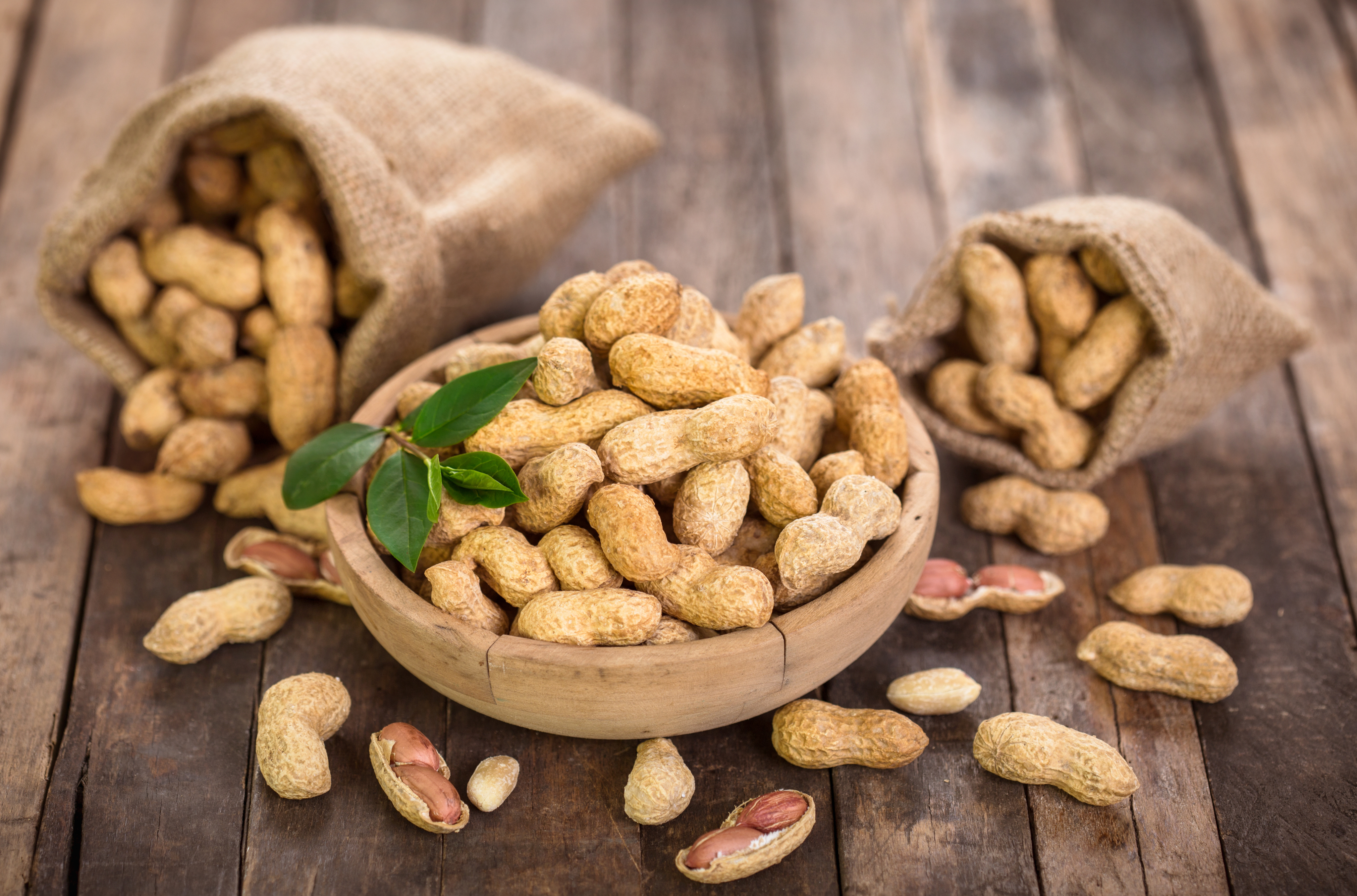Aunt Ruby's Peanuts in Enfield, NC