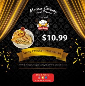 Moosa Colony in Sugar Land, TX (3)