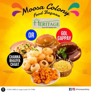 Moosa Colony in Sugar Land, TX (4)