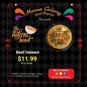 Moosa Colony in Sugar Land, TX (5)