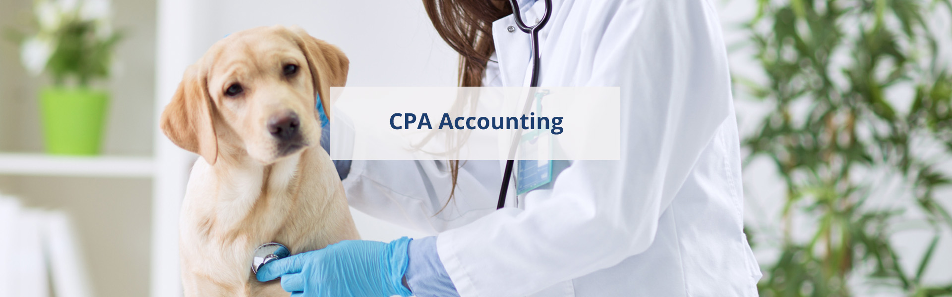 Lab Coat CPAs in Tampa, FL (3)