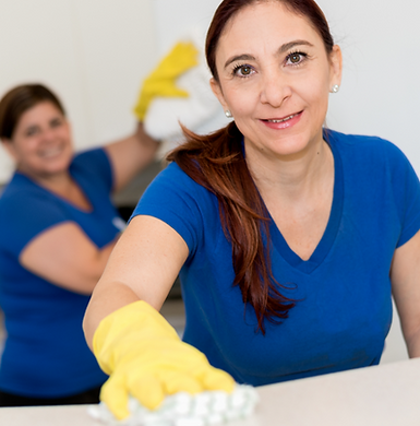 Tidy If You Please, LLC. Green House Cleaning And Office Cleaning in San Antonio, TX (2)