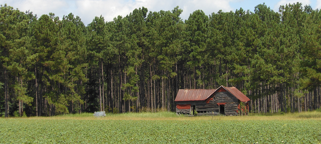 Mary Yelton Realty in Waynesboro, GA (2)