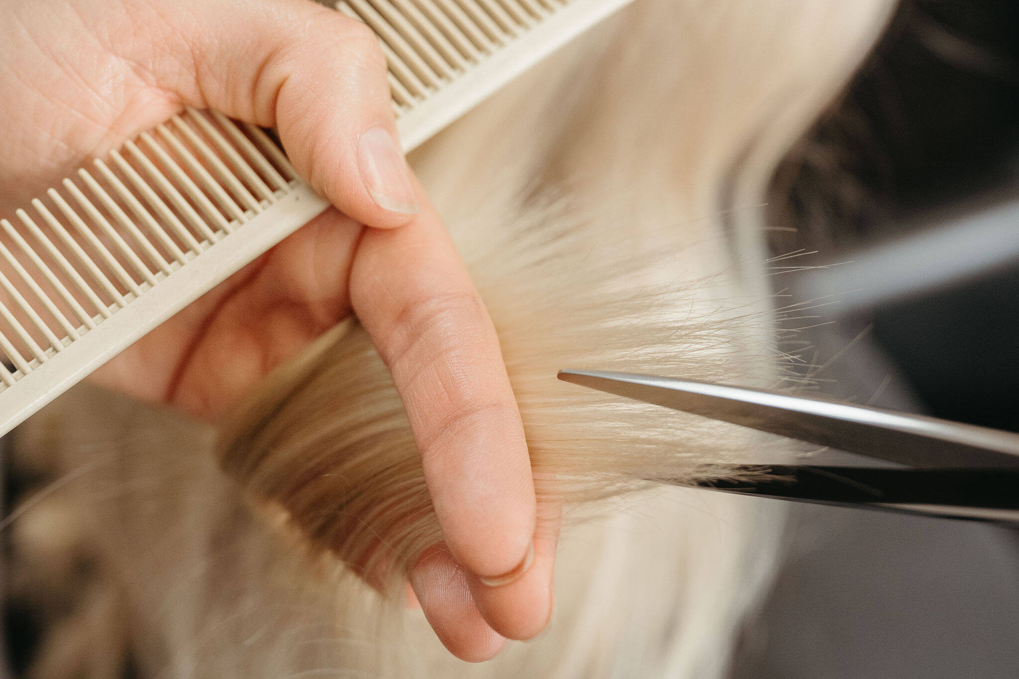 Light Hair Studio LLC in Monona, WI (3)