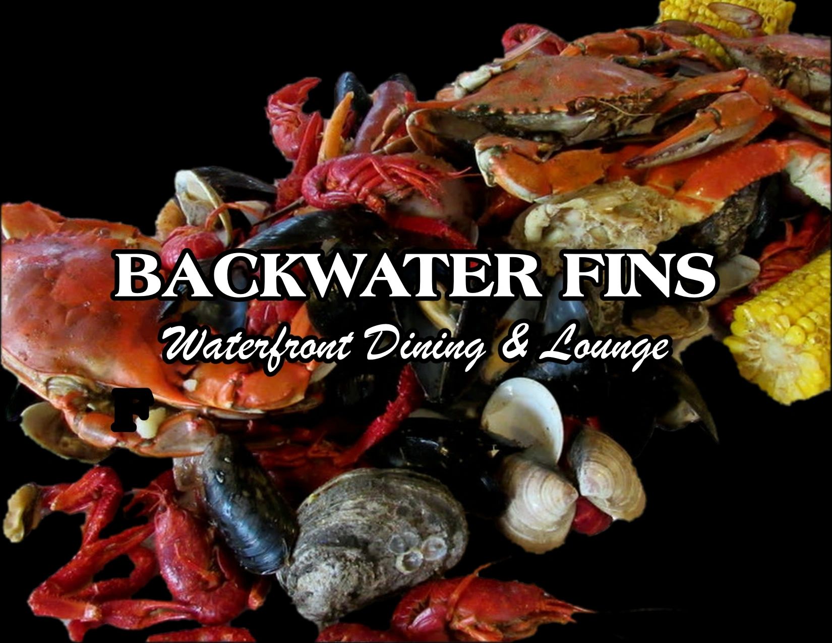 Backwater Fins in Crystal River, FL