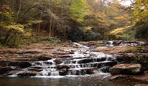 Kimberly A Fitzwater in Oakland, MD (2)