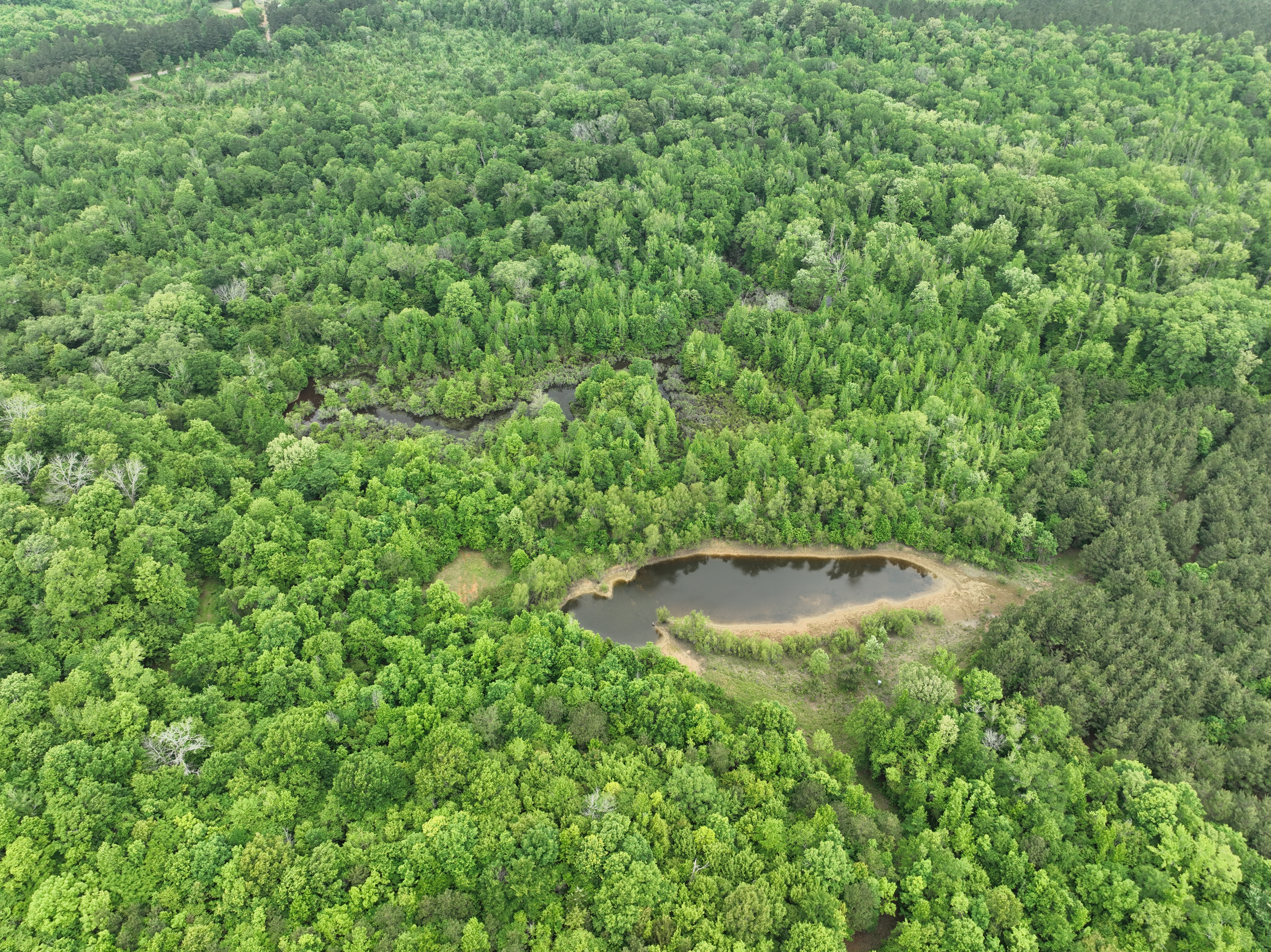 United Country Double Creek Land and Homes in Atlanta, TX (2)