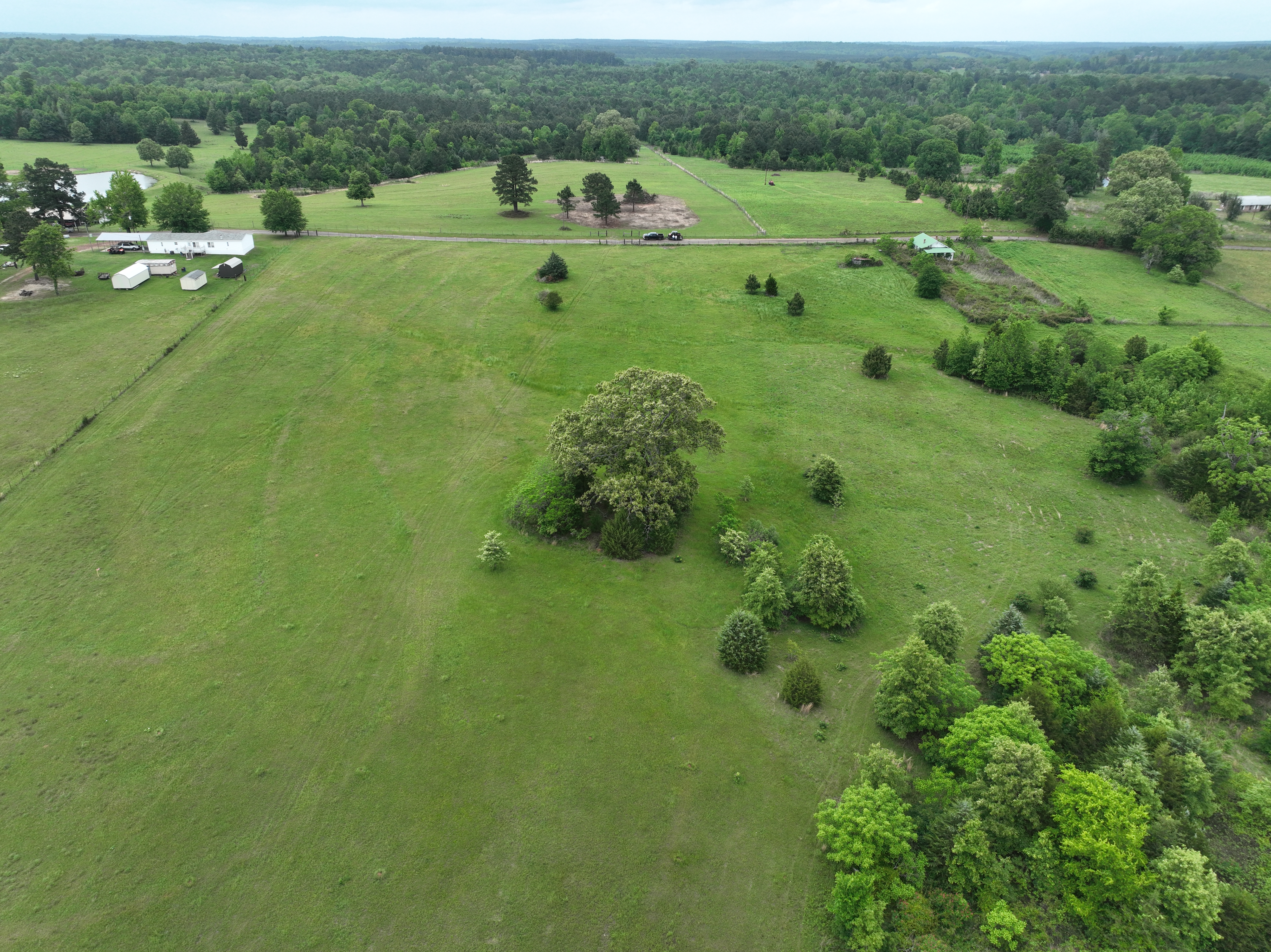 United Country Double Creek Land and Homes in Atlanta, TX (5)