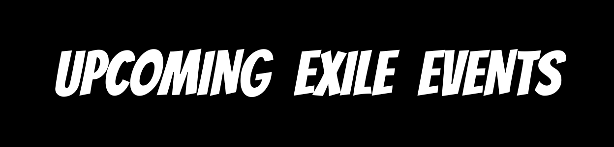 Exile in Bookville in Chicago, IL (2)
