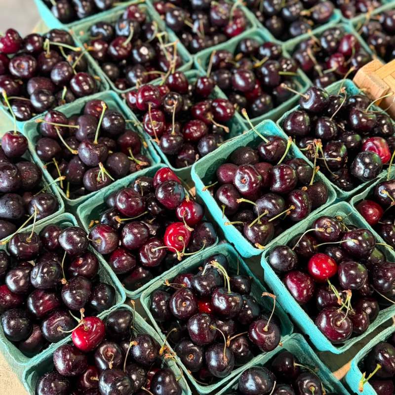 Shores Sisters Farm Market in Towanda, PA (2)