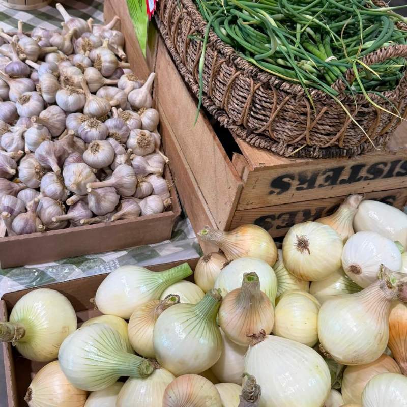 Shores Sisters Farm Market in Towanda, PA (3)