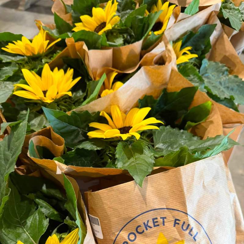 Shores Sisters Farm Market in Towanda, PA (6)