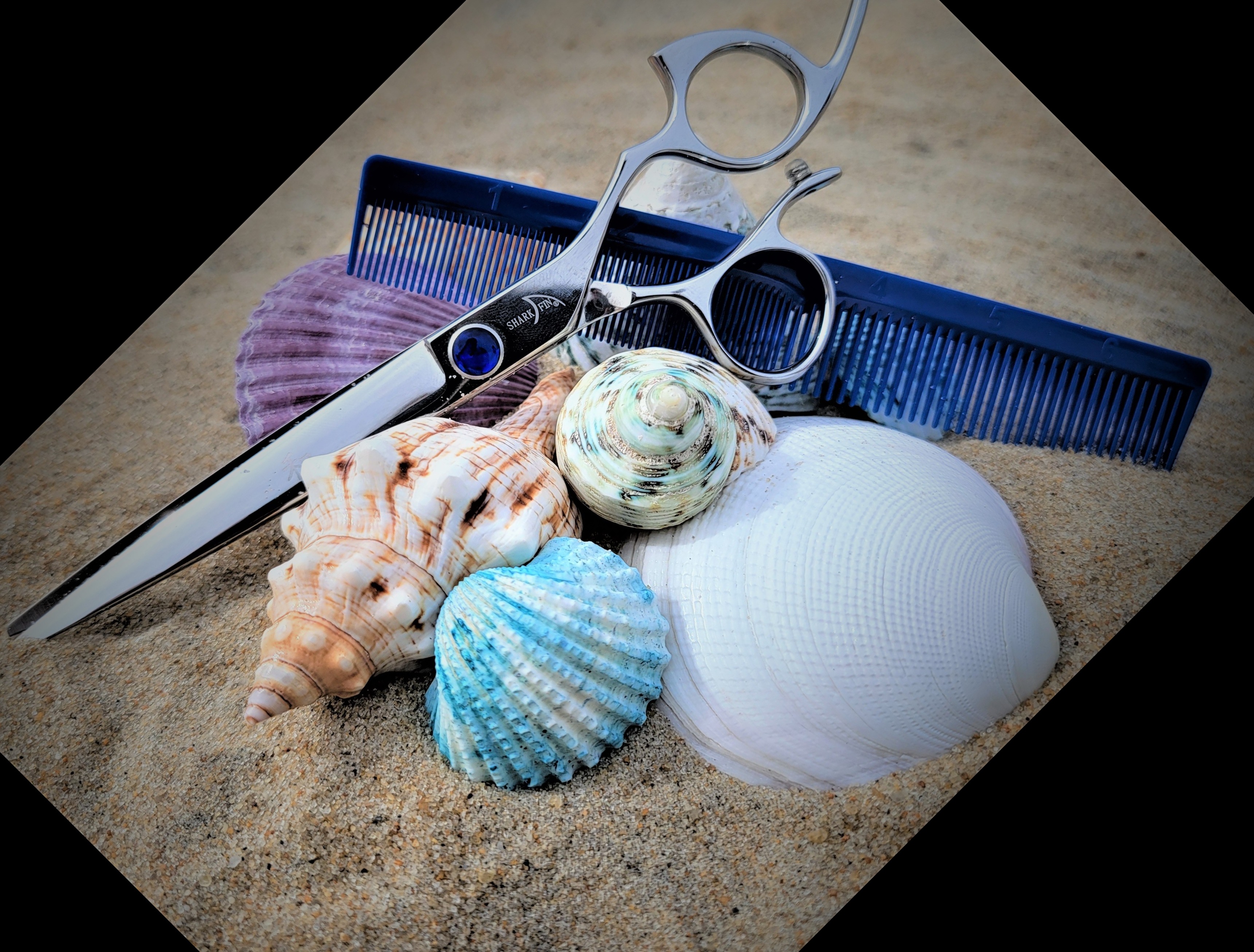 Coastal Cuts in Ocean City, MD (3)