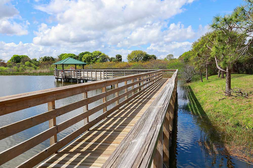 Elissa S. Vessal, Esquire PA in Boynton Beach, FL (3)