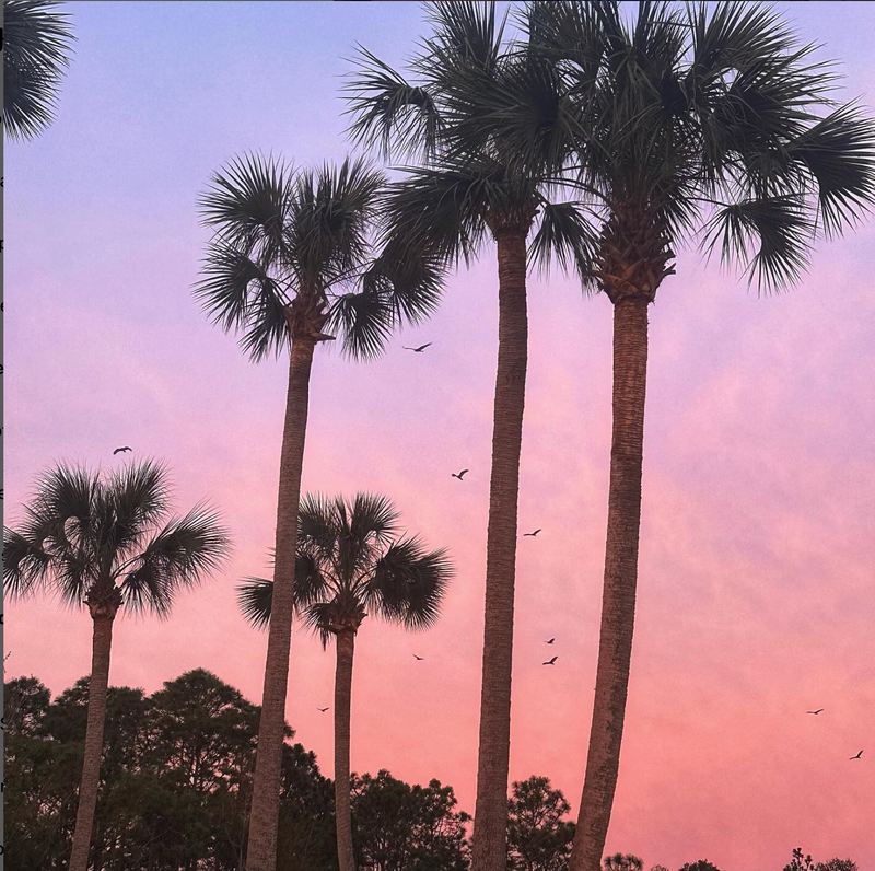 Gabrielle Davis Homes in Steinhatchee, FL