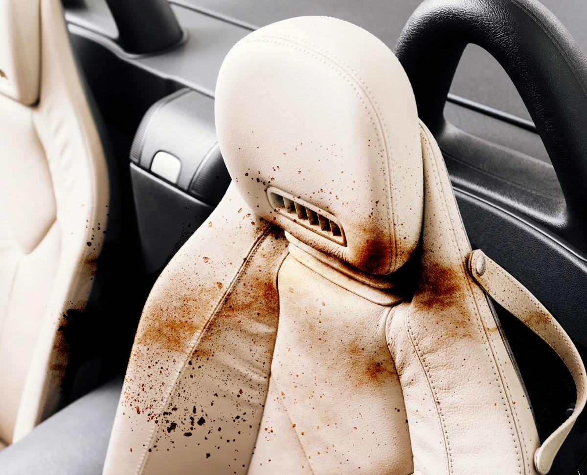 Sudz Car Wash and Detail in Glendale Heights, IL (6)
