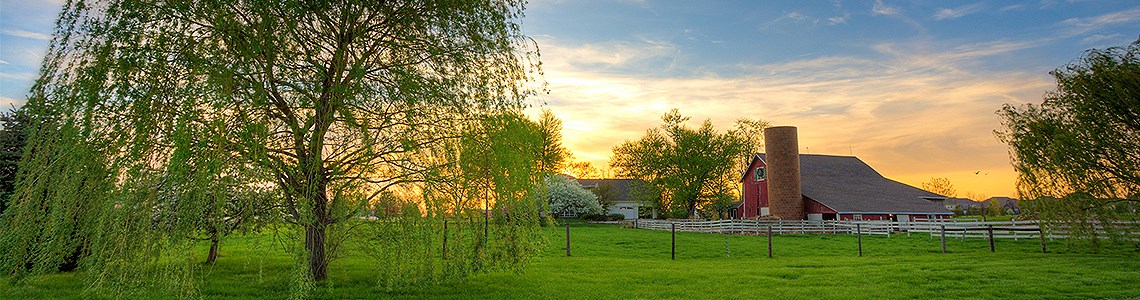 United Country Walker Realty & Auction in Daingerfield, TX (4)