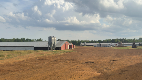 United Country Walker Realty & Auction in Daingerfield, TX (5)