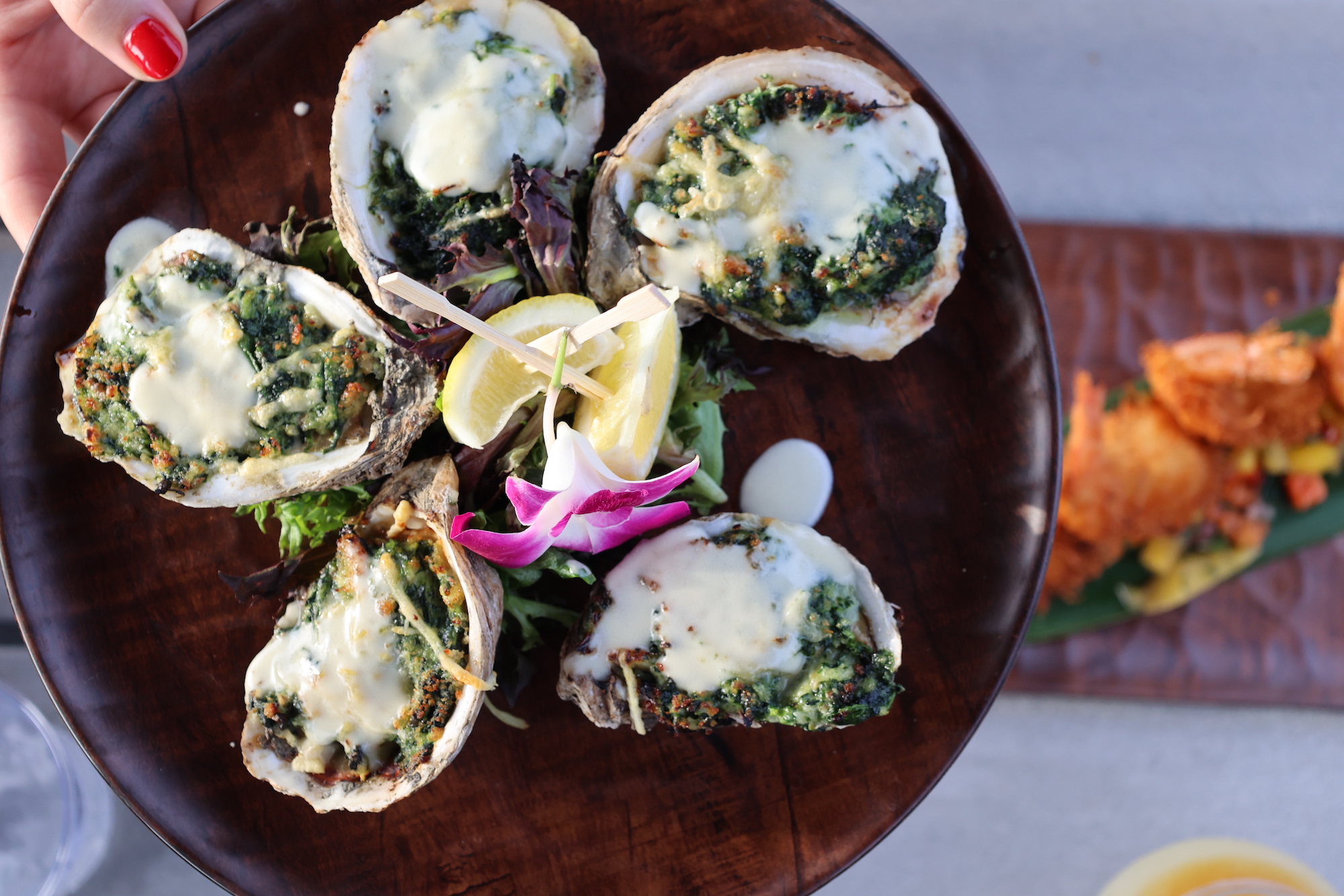 Snook Inn in Marco Island, FL (2)