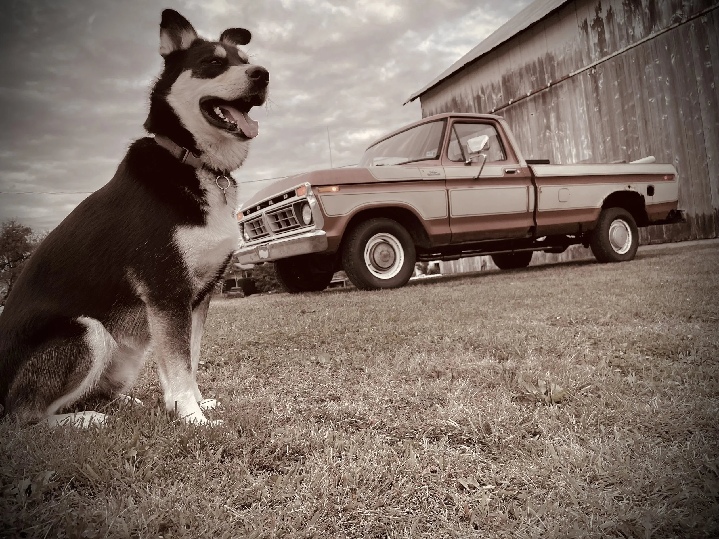 Lou Dogs Towing and Auto Repair in Tionesta, PA