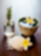 Holistic Wellness LLC in Columbia, MD (3)